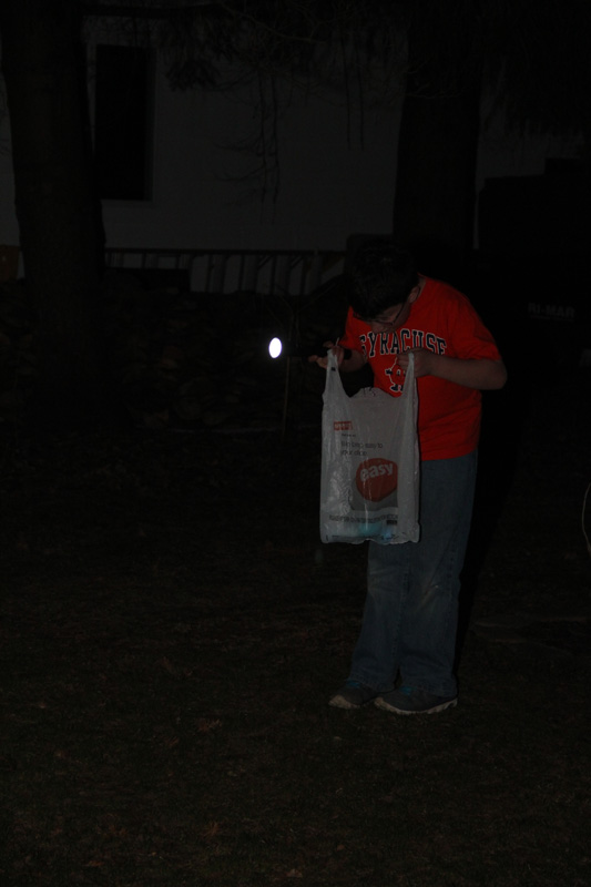 slideshow